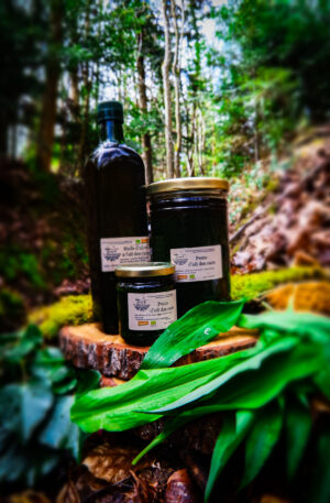 Pesto d'ail des ours - 200ml