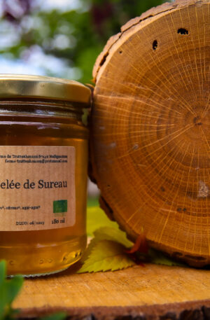 Gelée de sureau