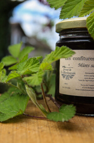Confiture de mûres sauvages