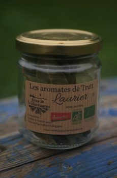 Feuilles de laurier sauce